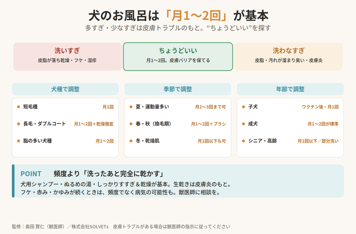【獣医師監修】犬のお風呂の適切な頻度は?犬種・季節・年齢別に詳しく解説