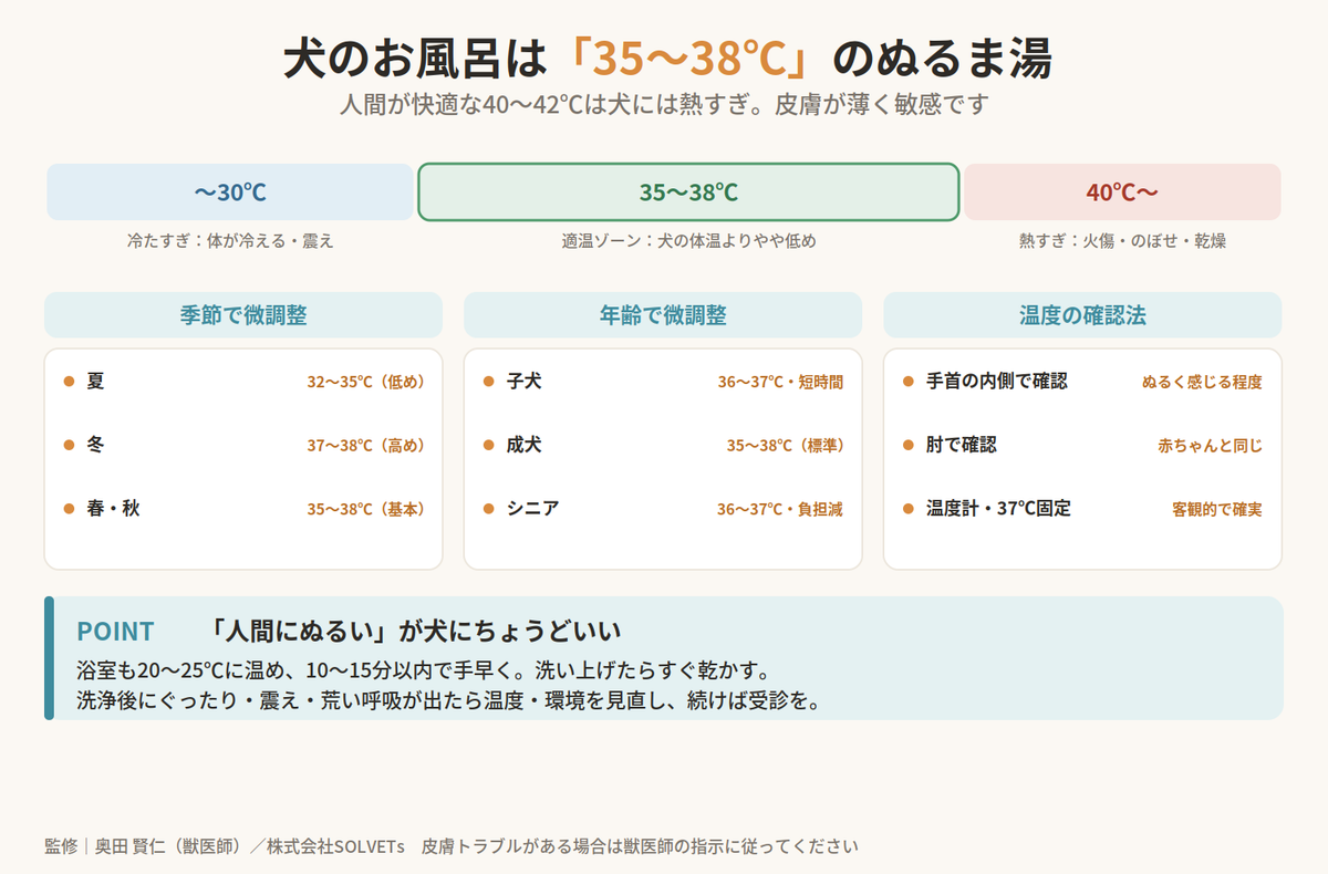 【獣医師監修】犬のお風呂の適切な温度は?季節別の目安と注意点を解説