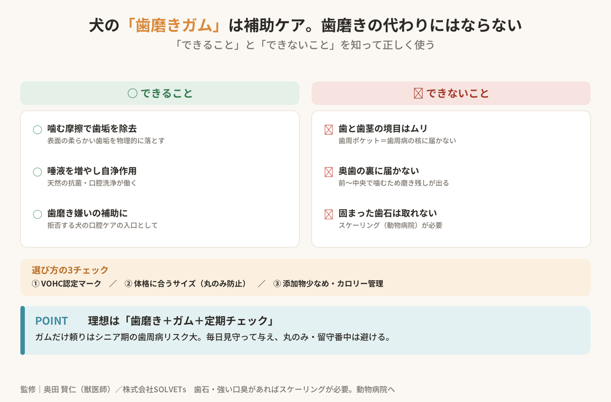 【獣医師監修】犬の歯磨きガムは効果ある?正しい選び方と使い方を徹底解説