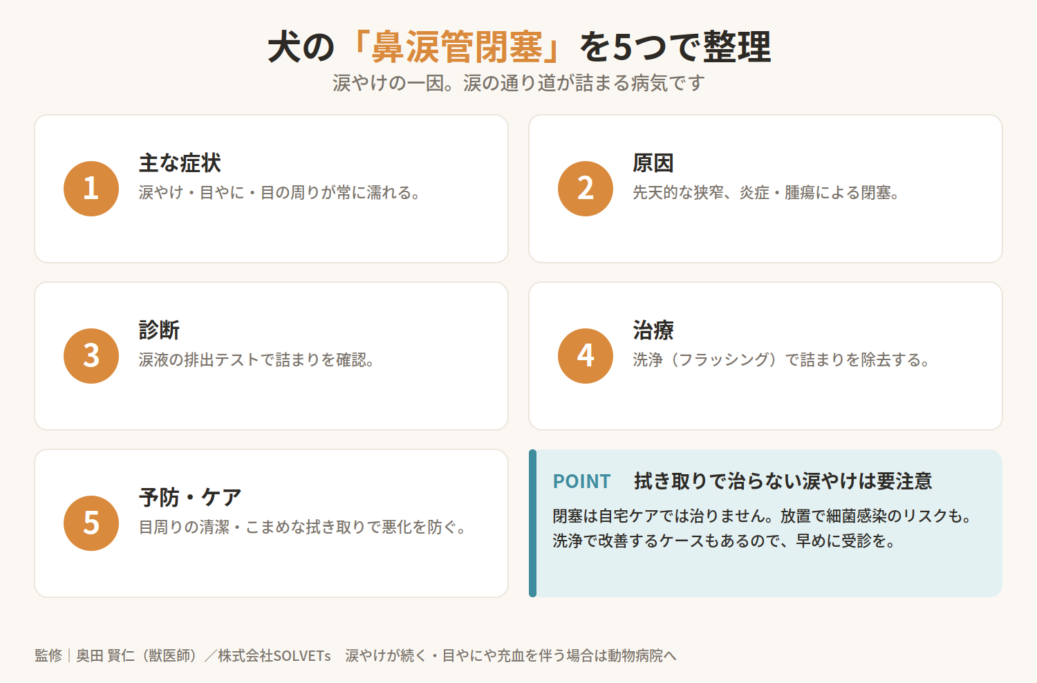 【獣医師監修】犬の鼻涙管閉塞とは?症状・原因・治療法を獣医師目線で詳しく解説