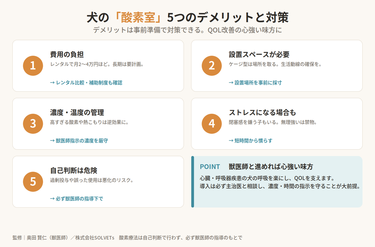 【獣医師監修】犬の酸素室のデメリットは?導入前に知っておきたい注意点と対策