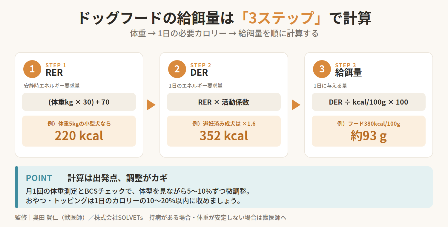 【獣医師監修】ドッグフードの給餌量を自動計算する方法|計算式と早見表で正しい食事量を解説