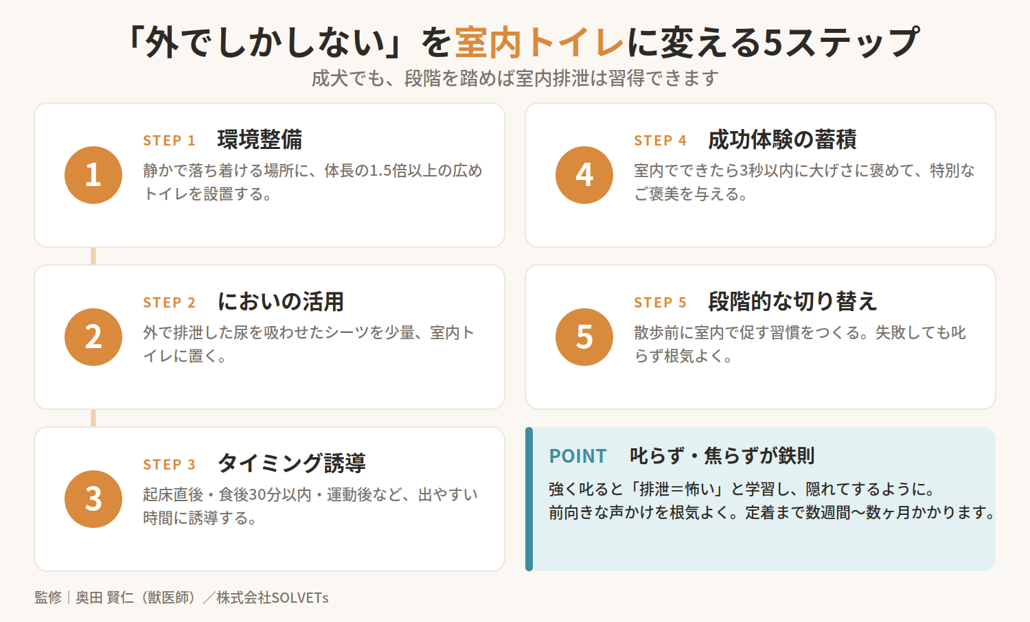 犬が外でしかトイレをしないのはなぜ?理由とリスク、室内トイレへの切り替え方法を解説