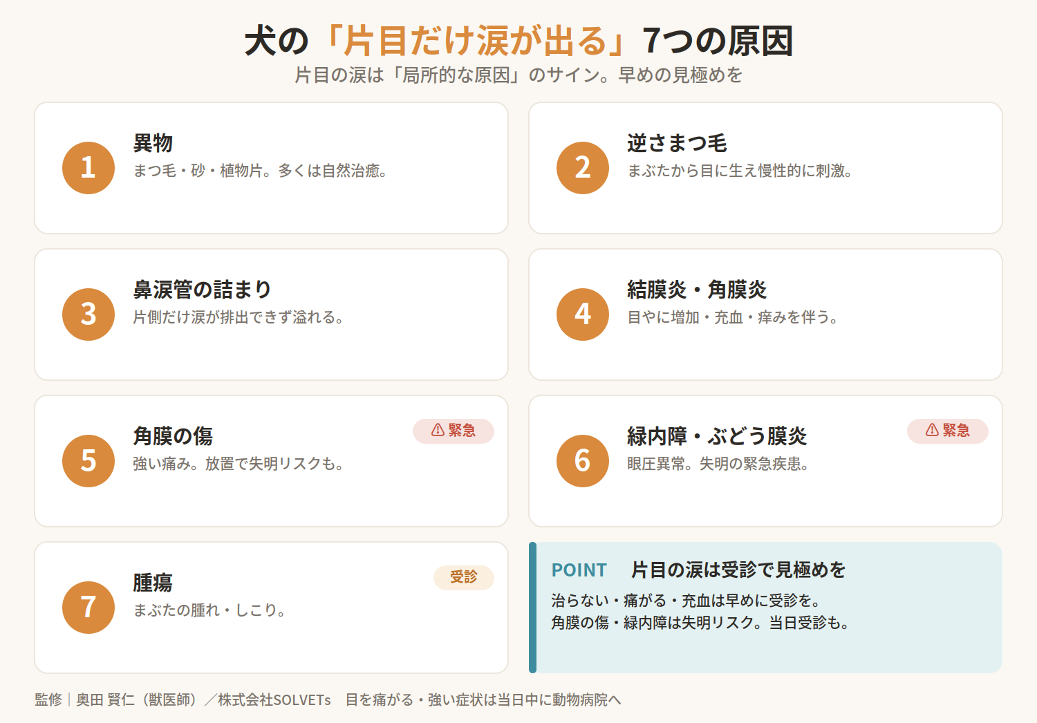 【獣医師監修】犬の涙が片目だけ出る原因は?考えられる病気と対処法を徹底解説