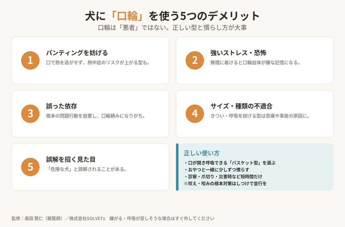 犬の口輪を使うデメリットは？知っておきたい注意点と正しい使い方