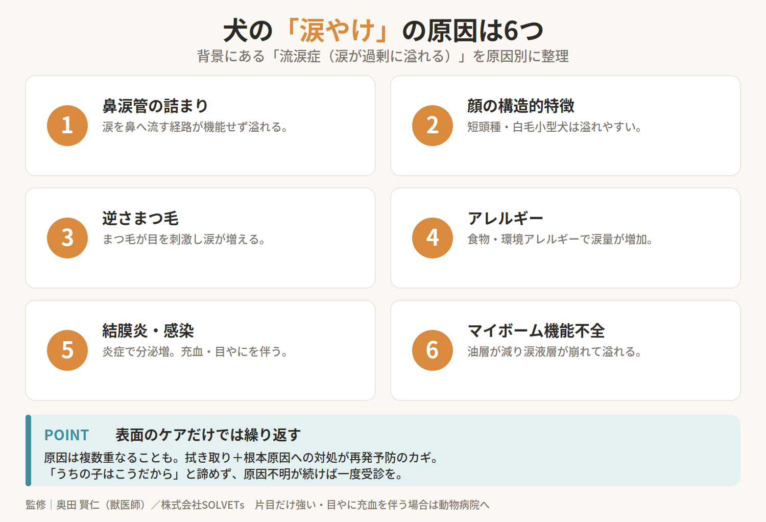 【獣医師監修】犬の涙やけの原因とは？根本対策と再発予防のポイントを徹底解説