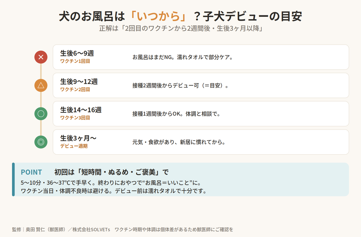 【獣医師監修】犬のお風呂はいつから入れていい？子犬期の適切なタイミングと注意点