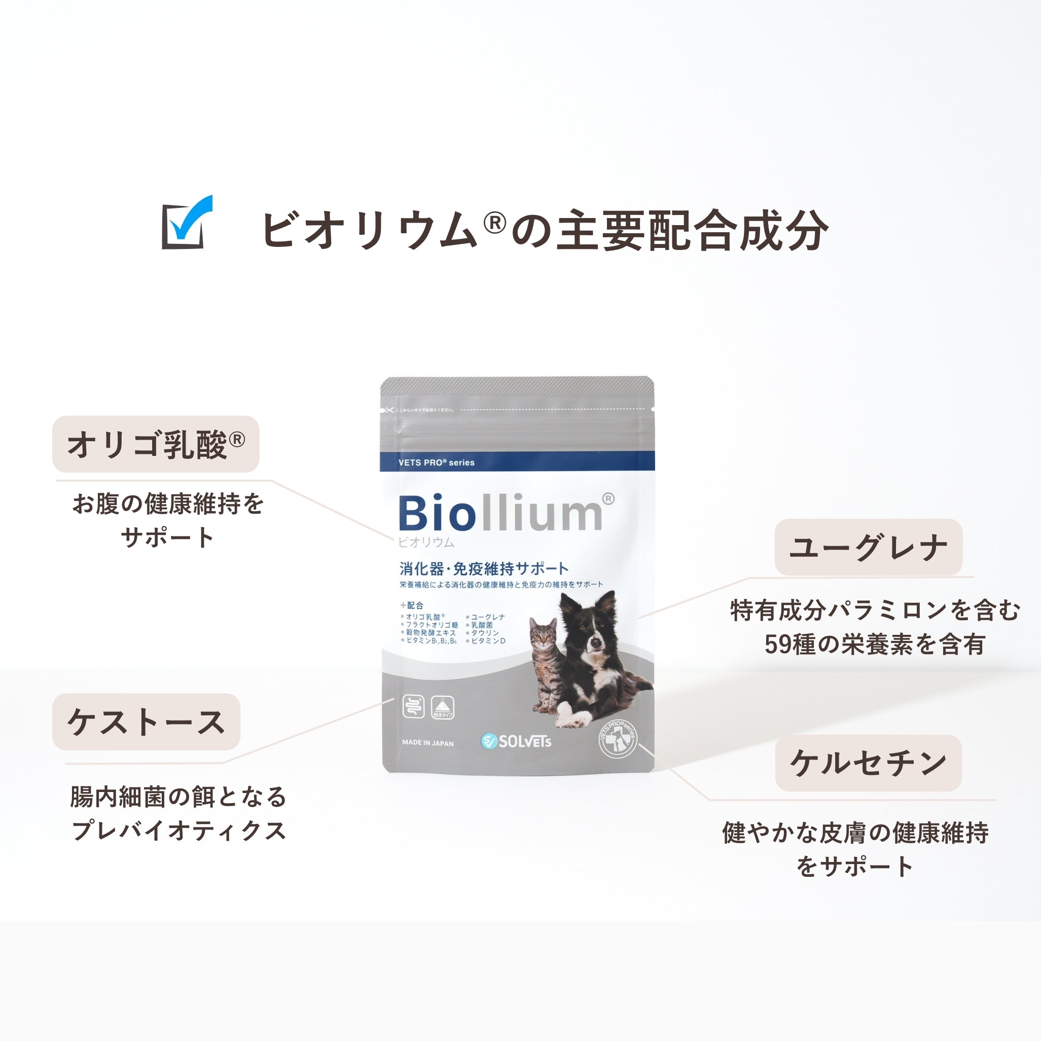 Biollium®︎ /ビオリウム