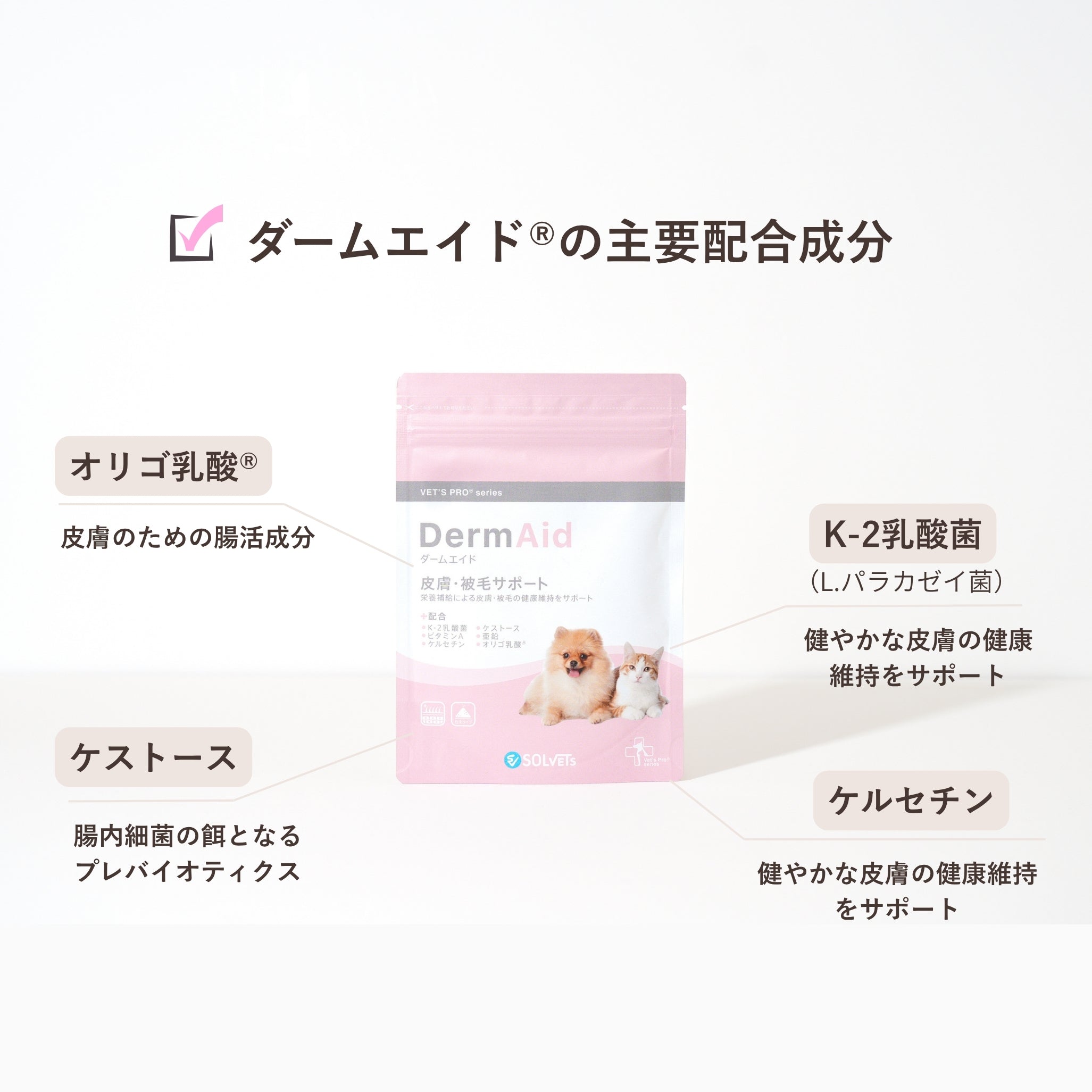 DermAid®︎ /ダームエイド