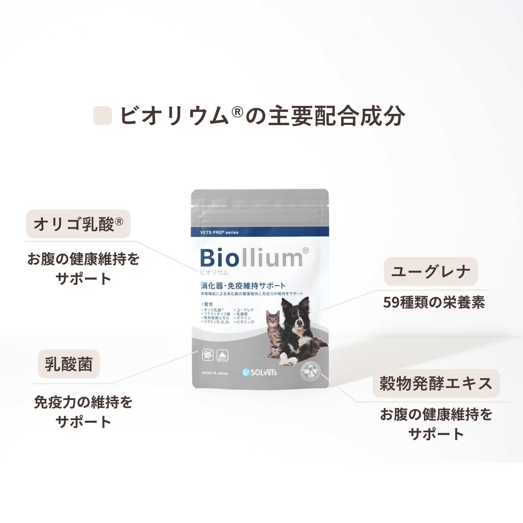 Biollium®︎ /ビオリウム